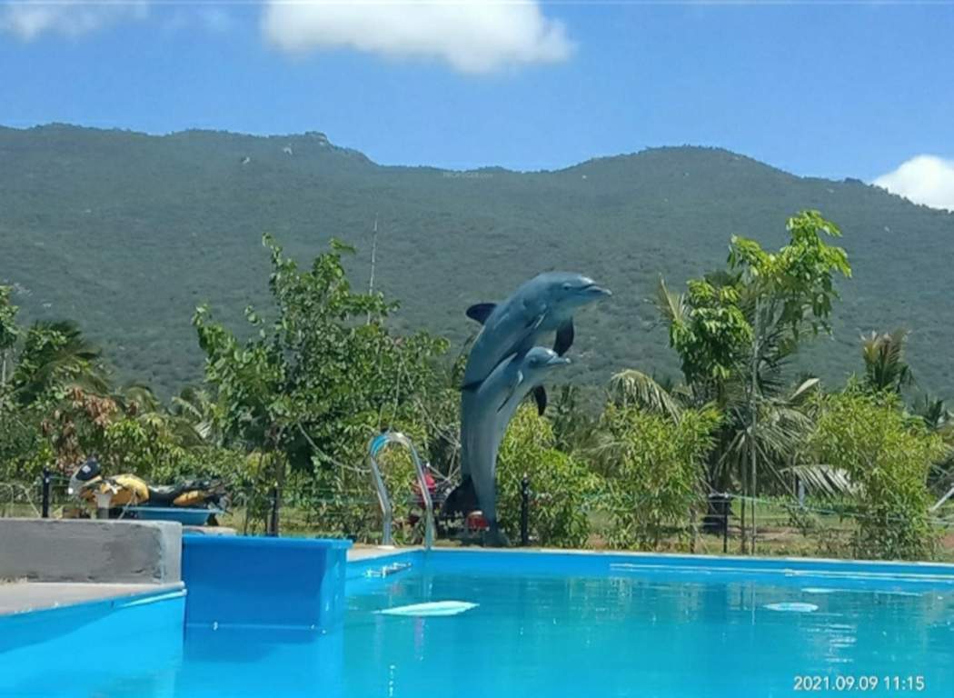  royal villas Swimming Pool