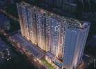 Eastern Groves Phase 2