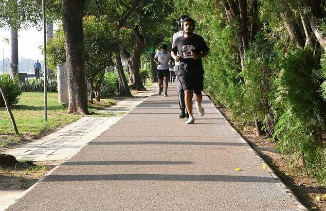  lotuscity Jogging Track