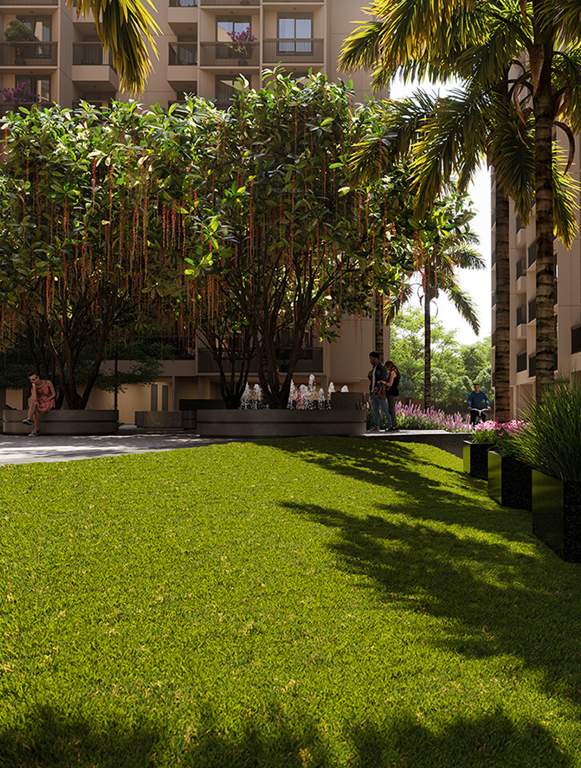  vista two Landscape Garden and Tree Planting
