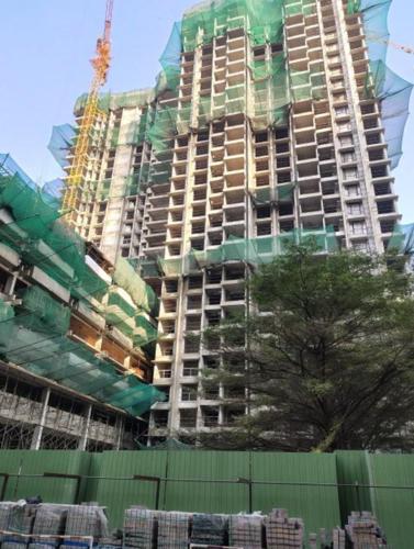 Construction Status Jan-25 bella-vita Construction Status Jan-25