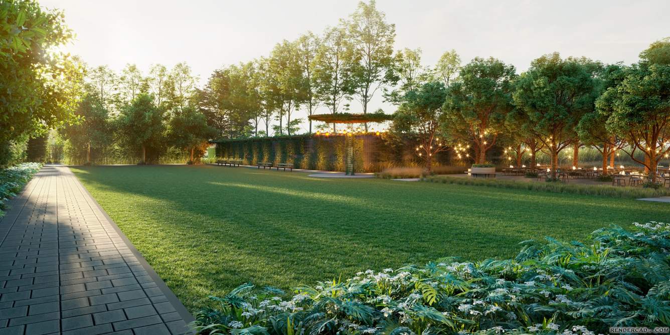 bella vita Landscape Garden and Tree Planting