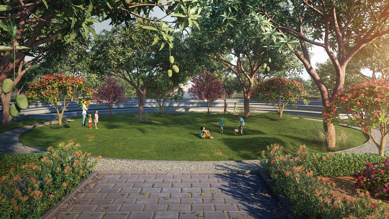 emerald the estate Amphitheater