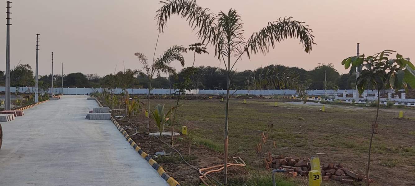  nature golden highway Plot