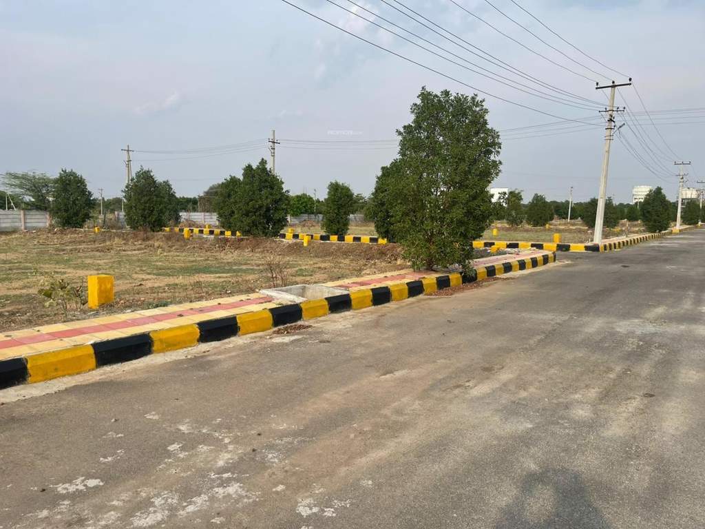  nature golden highway Plot