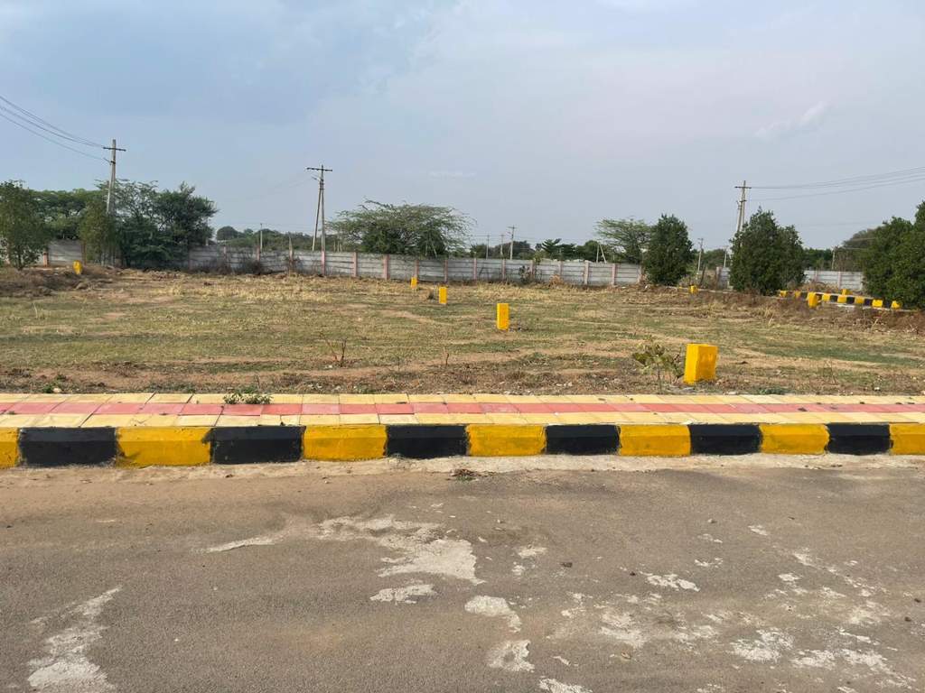  nature golden highway Plot