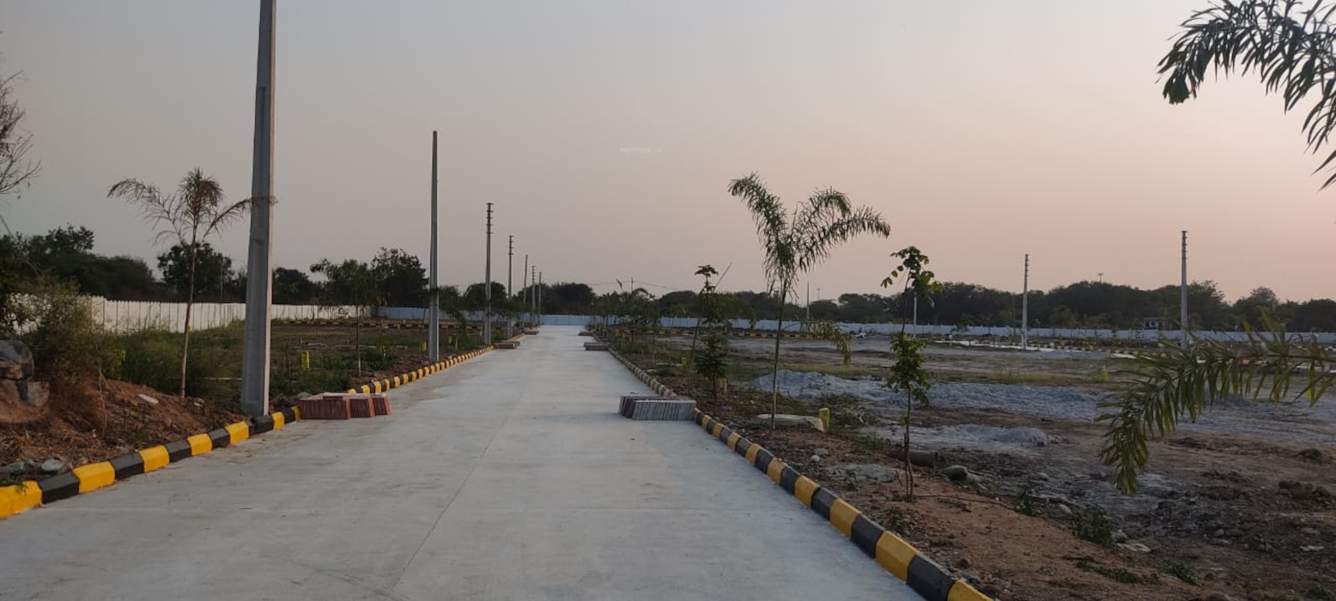  nature golden highway Plot