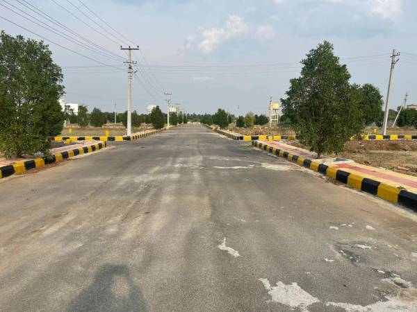  nature-golden-highway Plot