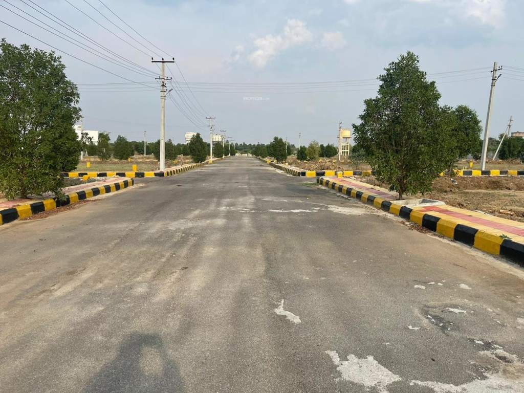  nature golden highway Plot