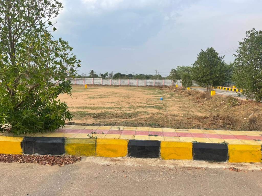  nature golden highway Plot