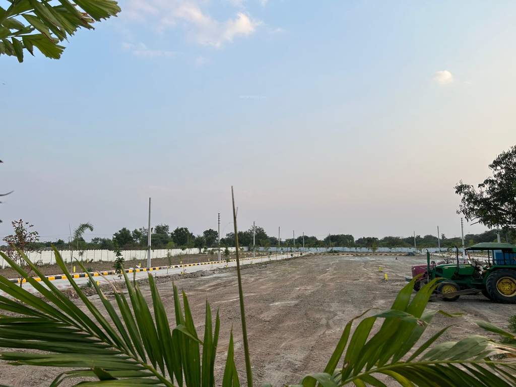  nature golden highway Plot