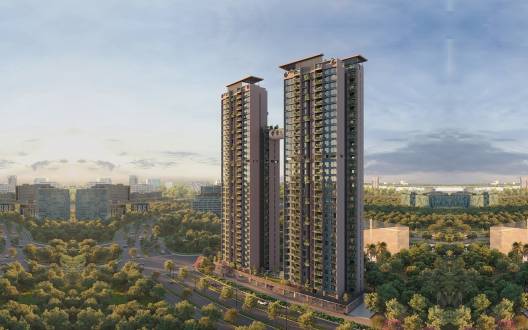 Elevation accolade Elevation