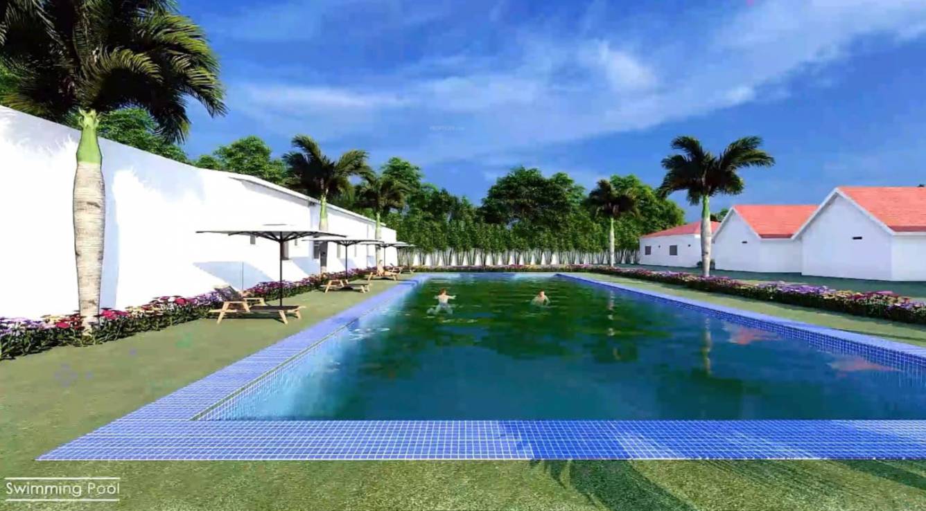  resort and framlands Swimming Pool