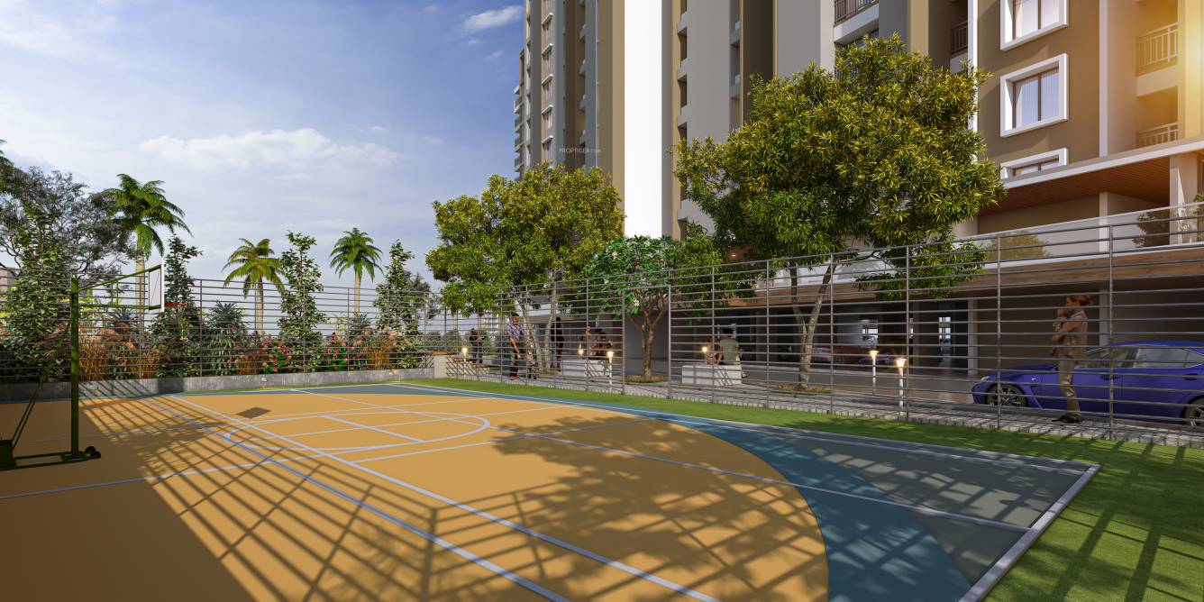  pride Basketball Court