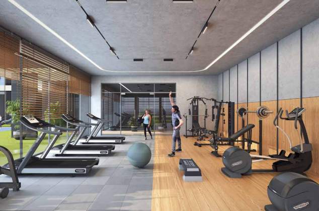  signature ritz Gymnasium