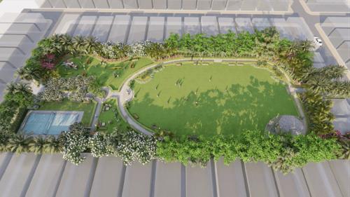  amolik-blossom-woods Others