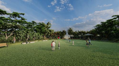  amolik-blossom-woods Others