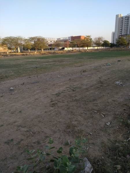  amolik-blossom-woods Plot