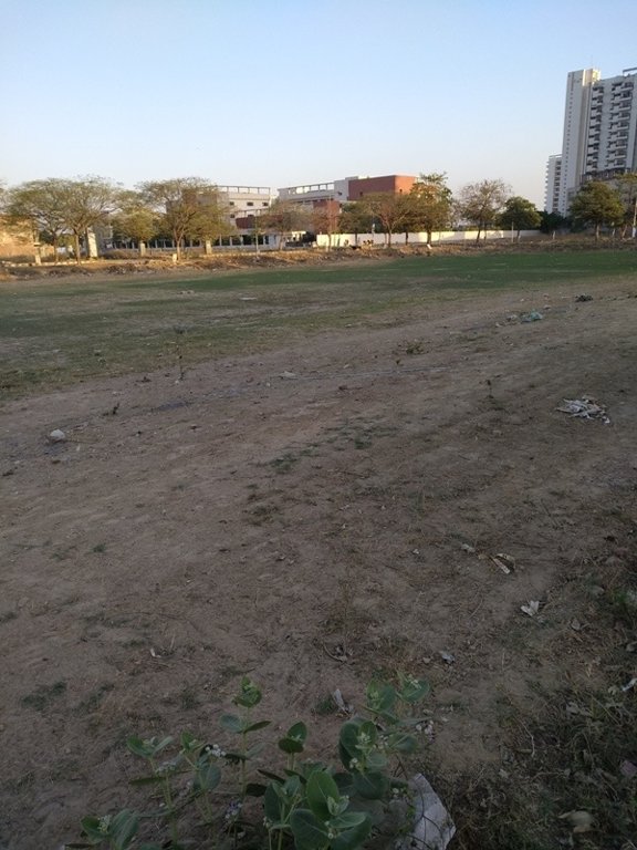  amolik blossom woods Plot