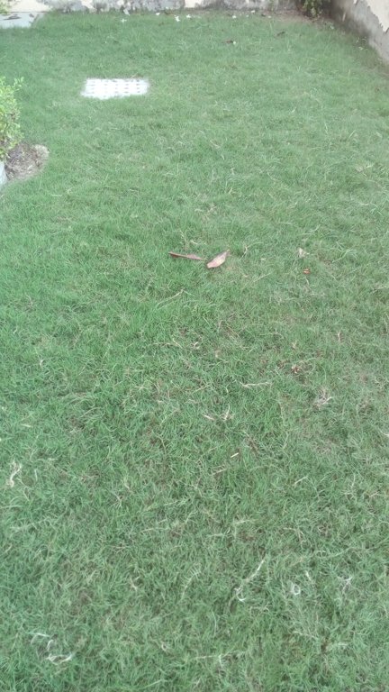  amolik blossom woods Plot