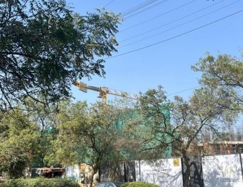  24k-manor-tower-a 24K Manor Tower A Construction Status Feb-25