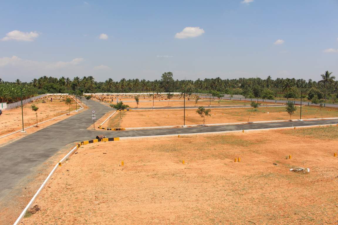  the garden city Plot