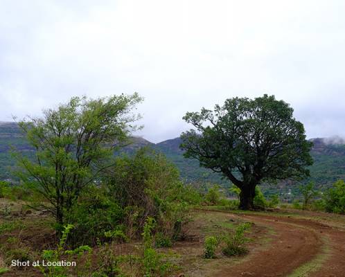 satvam-hills-a4 Elevation Elevation