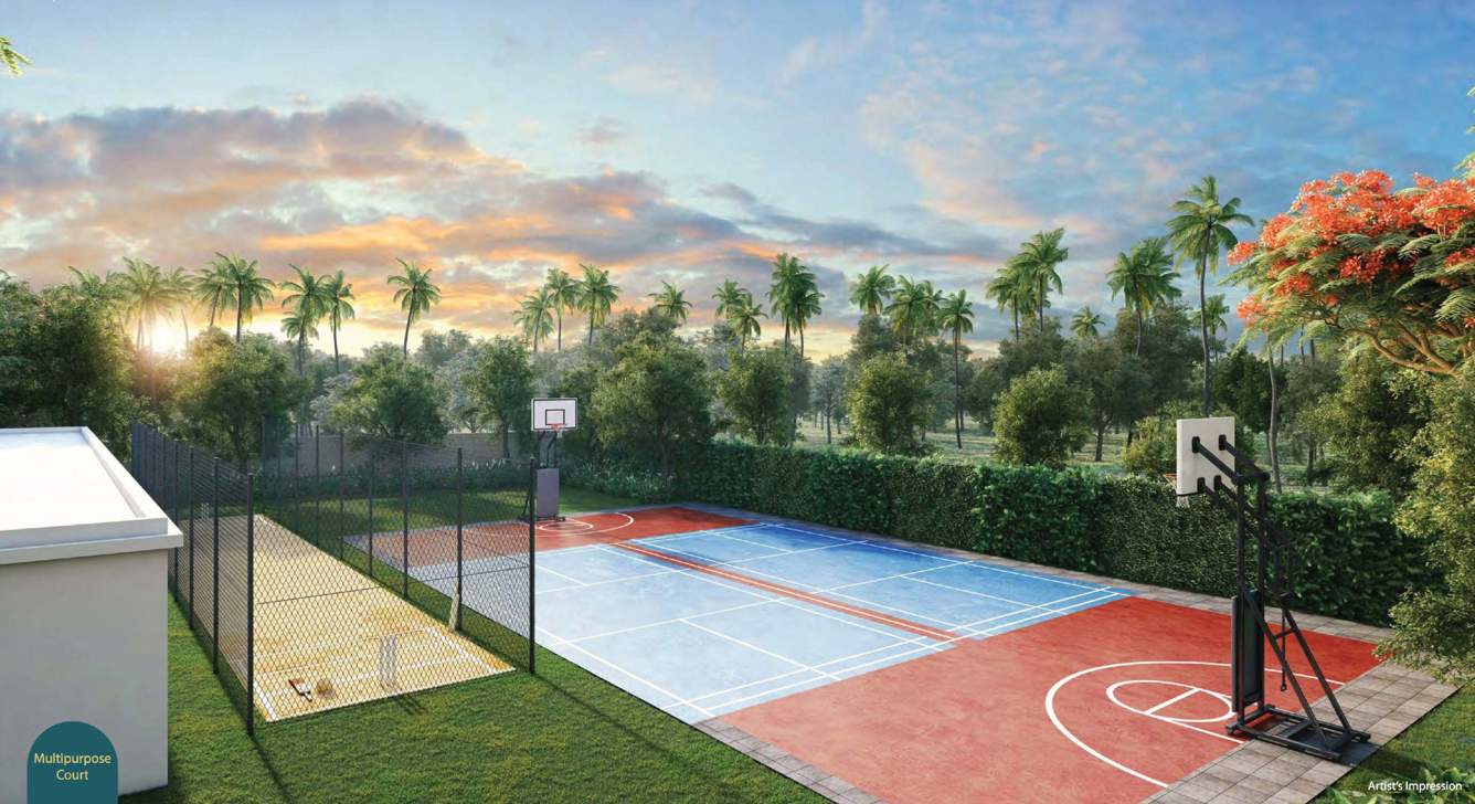  palacio phase 1 Basketball Court