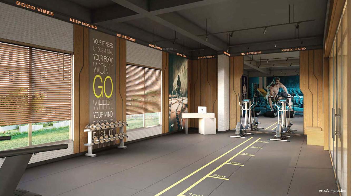  palacio phase 1 Gymnasium