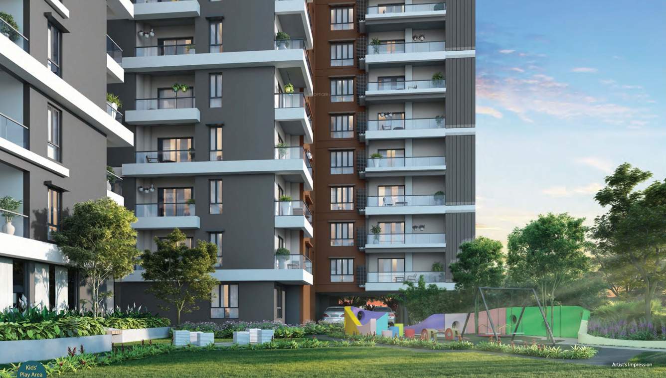  palacio phase 1 Others