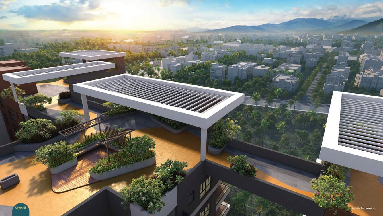  palacio phase 1 Others