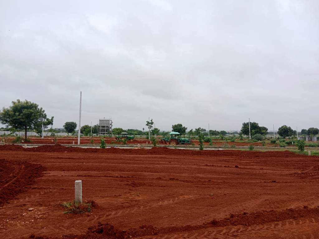  eastern county Plot