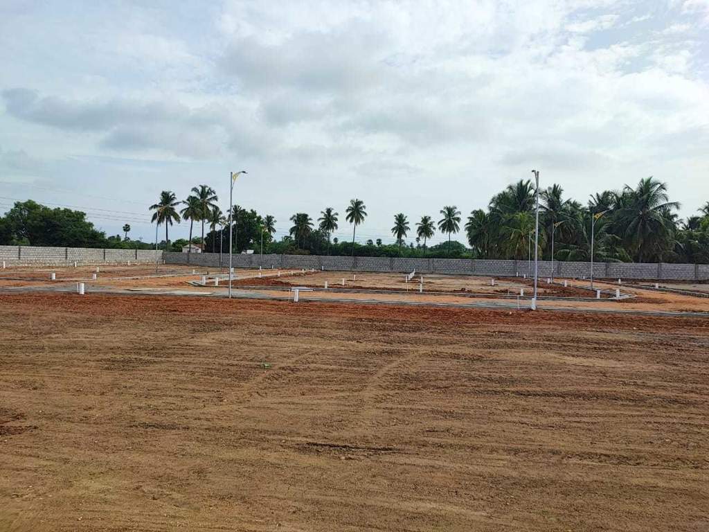  everest global city Elevation