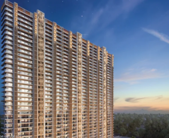  tropical-isle Elevation