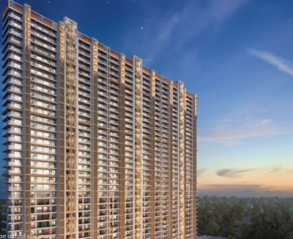 Elevation tropical-isle Elevation