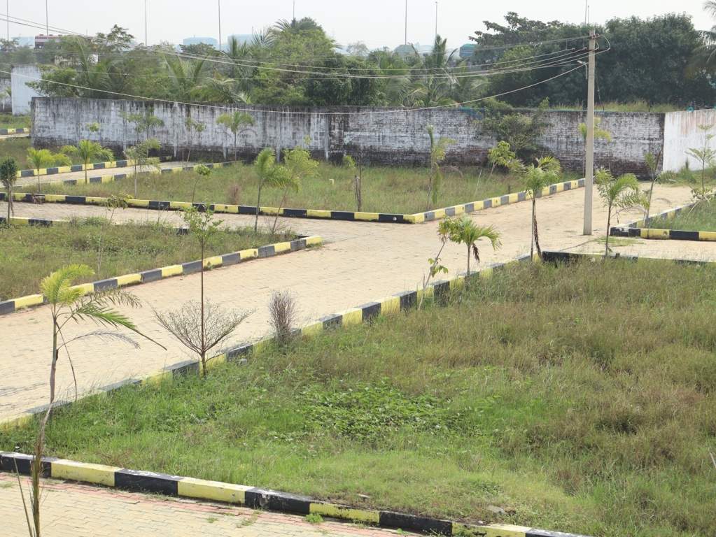  new star city diamond Plot