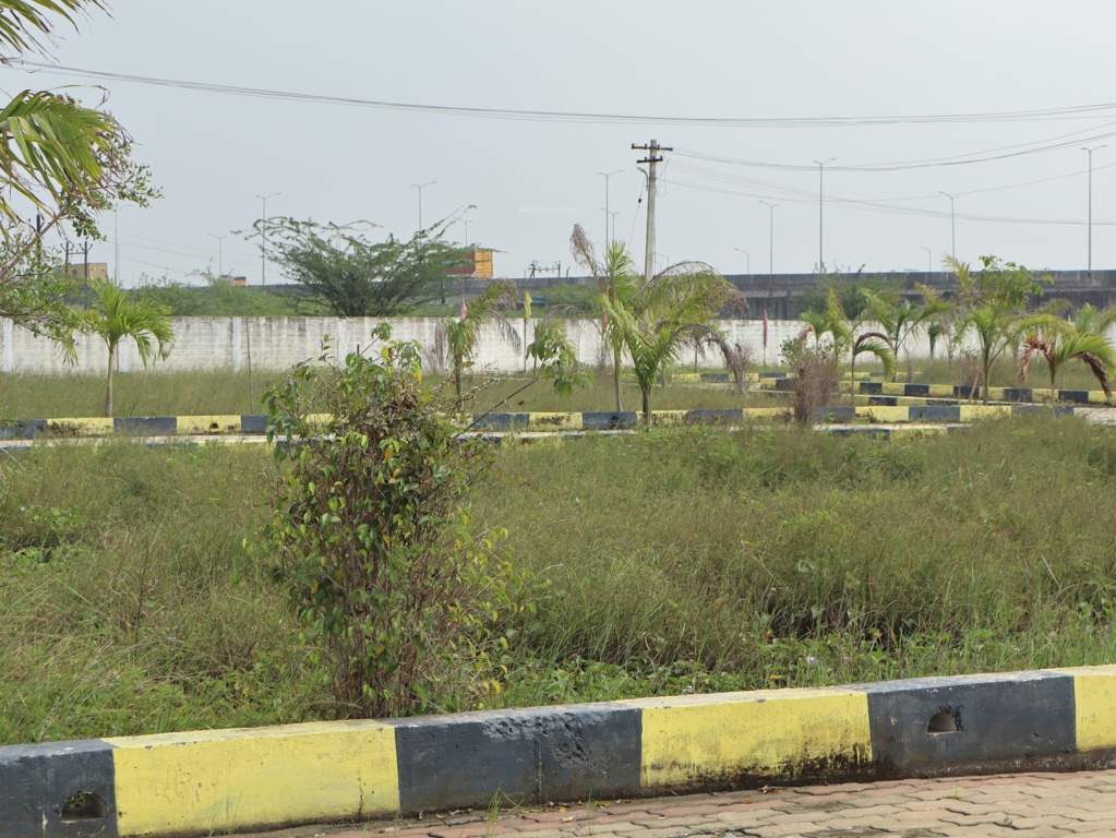  new star city diamond Plot