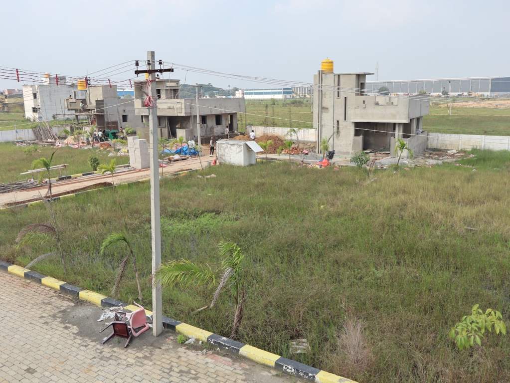  new star city diamond Plot