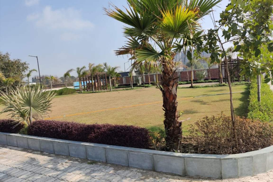  sun villa plots Landscape Garden and Tree Planting