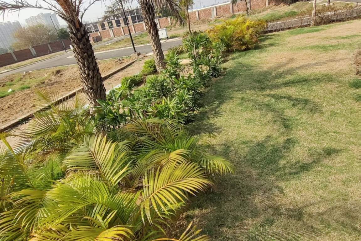  sun villa plots Landscape Garden and Tree Planting