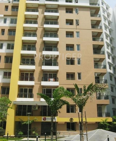 Images for Construction Status of Mantri Synergy Images for Construction Status of Mantri Synergy