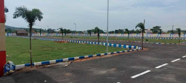 Elevation star-city Elevation