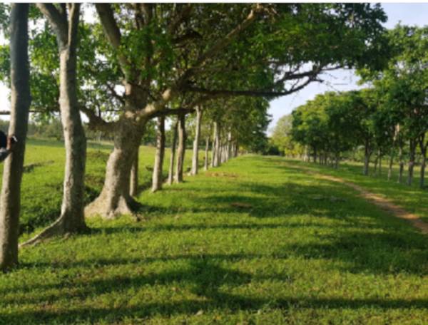  vijayanagar-eco-village Elevation