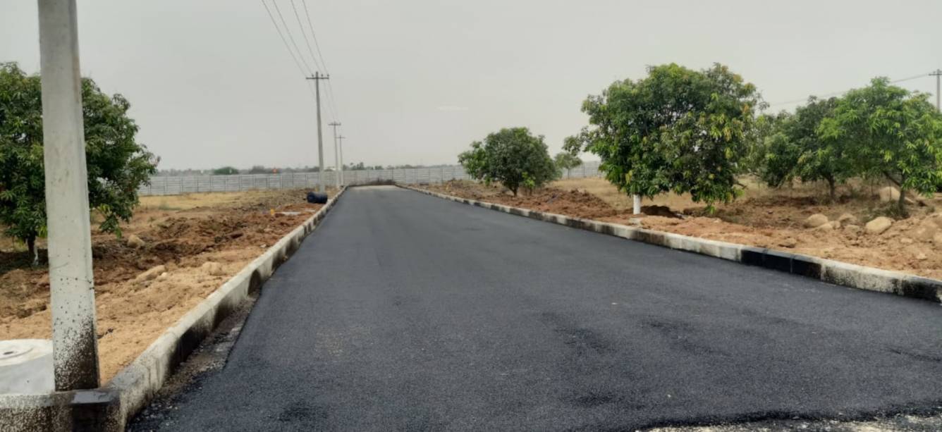  meadows Internal Roads