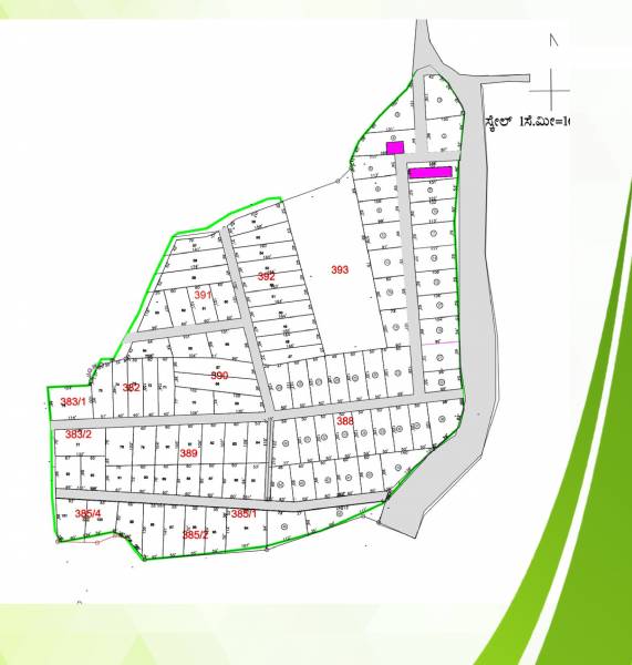 Elevation nature-song Elevation