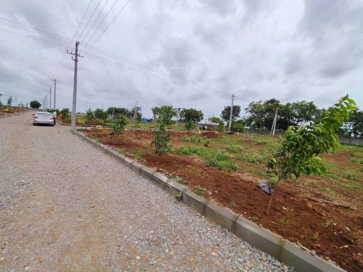 laxmi-vihar Elevation Elevation