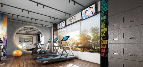 Gymnasium novila Gymnasium