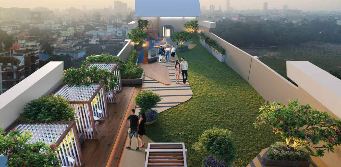 novila Landscape Garden and Tree Planting