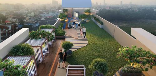 Landscape Garden and Tree Planting novila Landscape Garden and Tree Planting