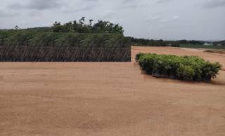 Project Image Project Image